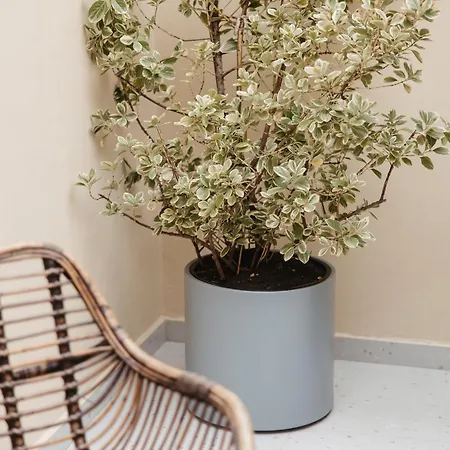 Greygreen By Holistay Apartamento