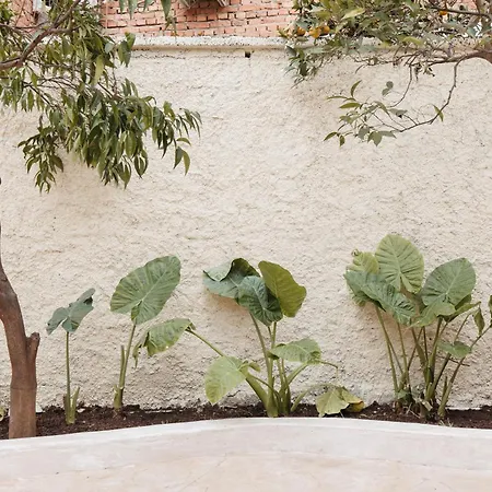 Apartamento Greygreen By Holistay