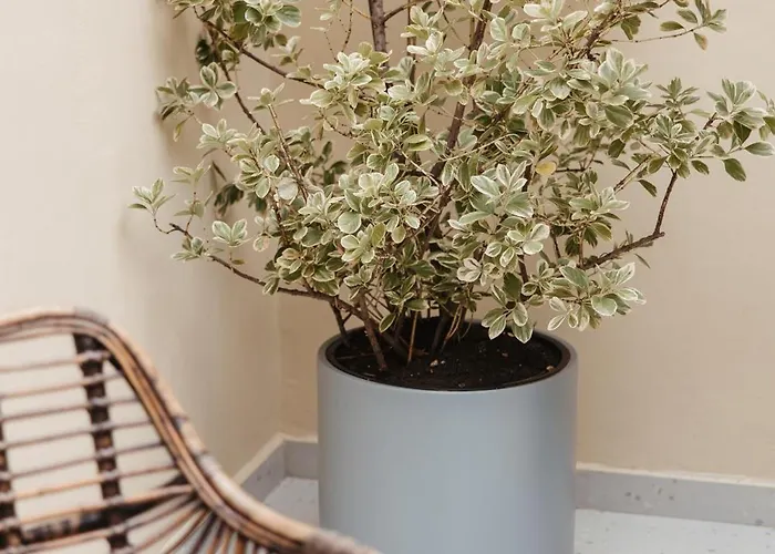 Greygreen By Holistay Apartman